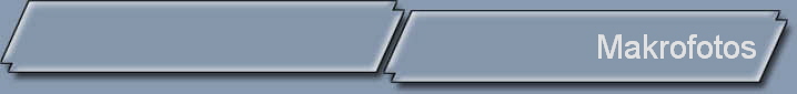 Makrofotos